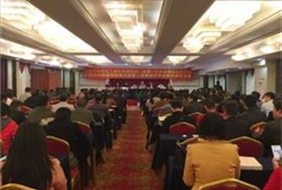 贵宾会环保参与起草的《蜂窝式烟气脱硝催化剂》与《平板式烟气脱硝催化剂》被评为优秀标准